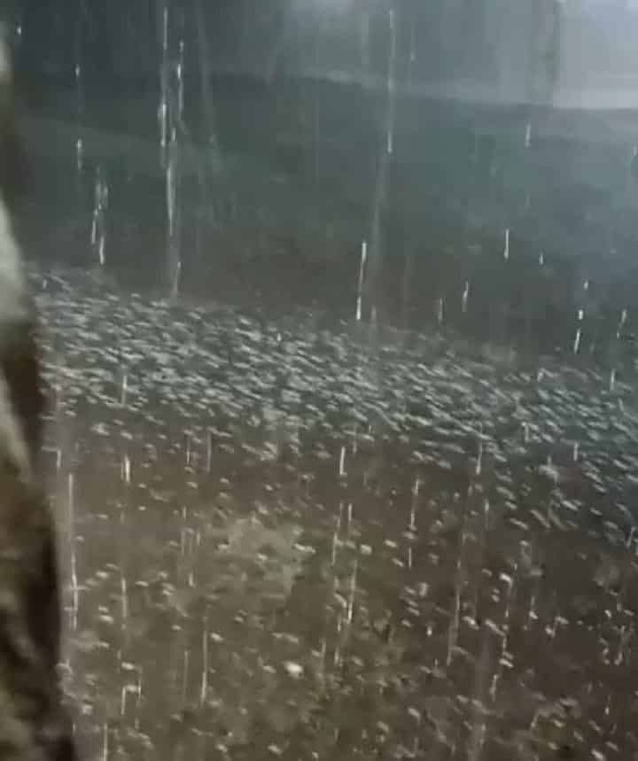 Granizo sorprende a poblado Mata Loma de Veracruz