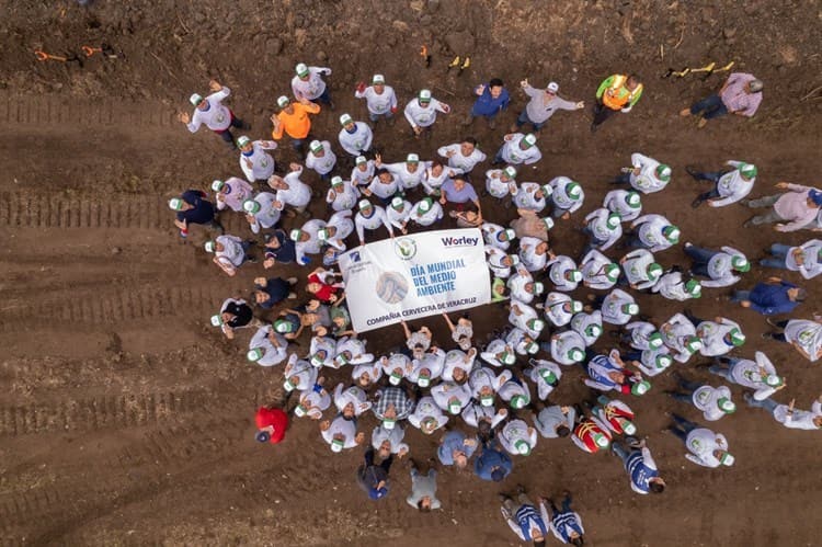 Constellation Brands se suma a programa de reforestación en Veracruz