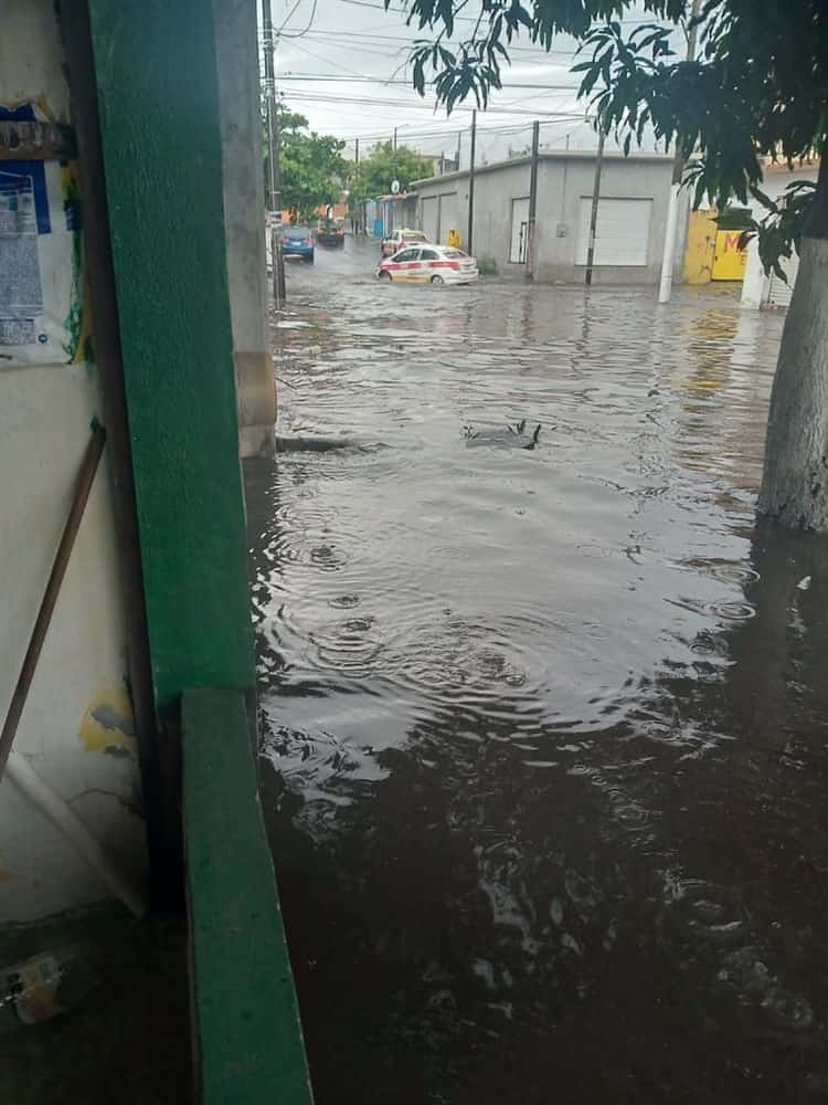 Colonia Pocitos y Rivera de Veracruz: 13 años sufriendo inundaciones