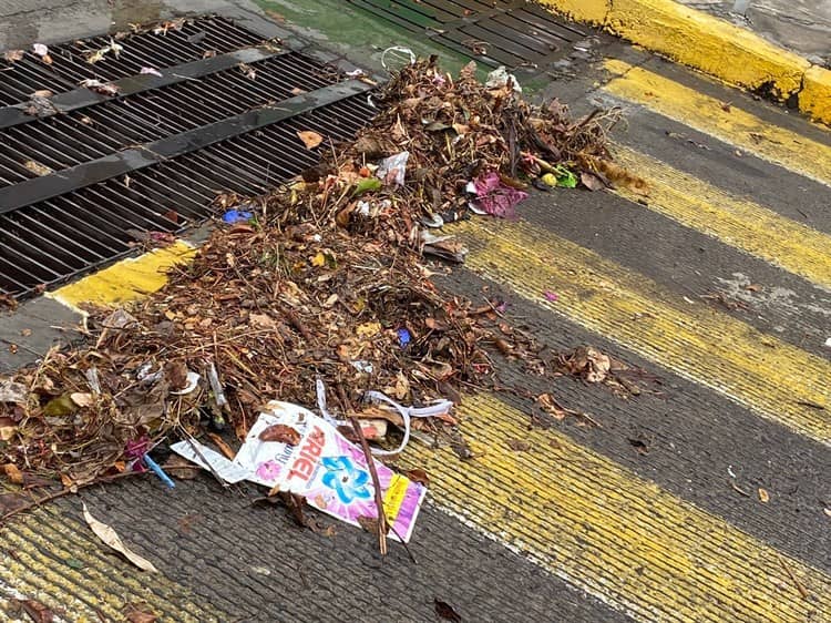 Basura acumulada en alcantarillas afectó a vecinos en Veracruz