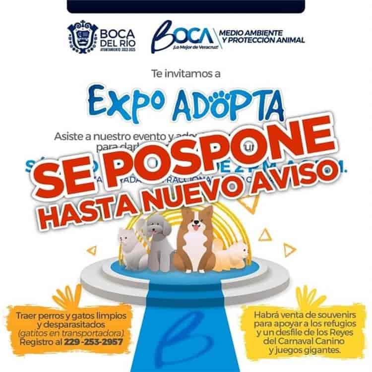 ¡Hasta nuevo aviso! Posponen Expo Adopta en Boca del Río