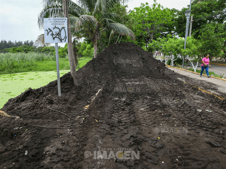 Inundaciones y maleza en laguna Lagartos, pese a obras de PMA