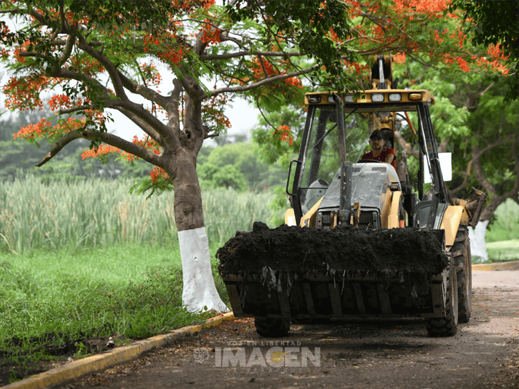 Inundaciones y maleza en laguna Lagartos, pese a obras de PMA