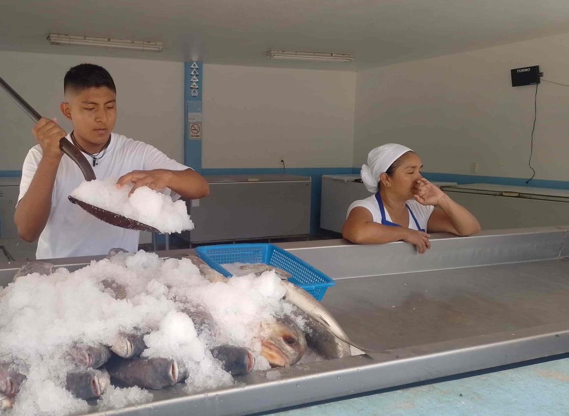 Hay alternativas en bodegas de mariscos ante escasez de especies en Coatzacoalcos