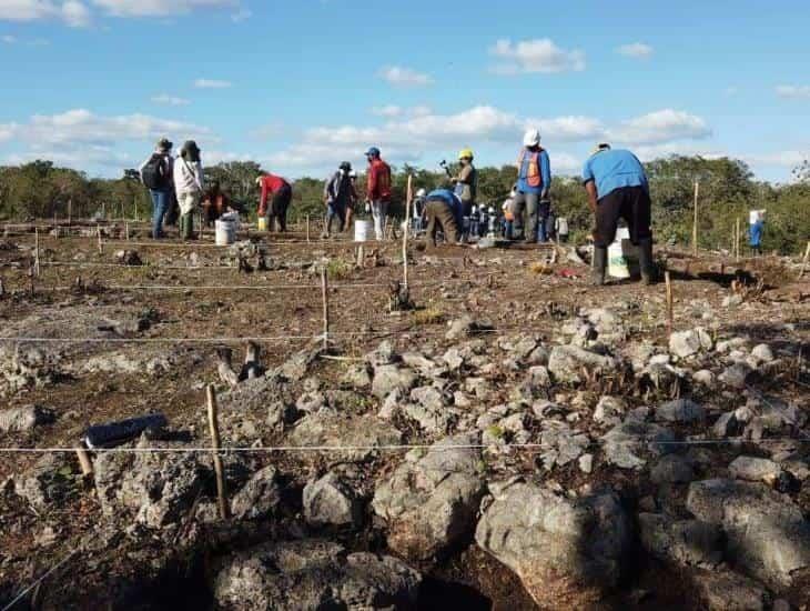 Por obras del Tren Maya se han recuperado 53 mil 385 bienes inmuebles