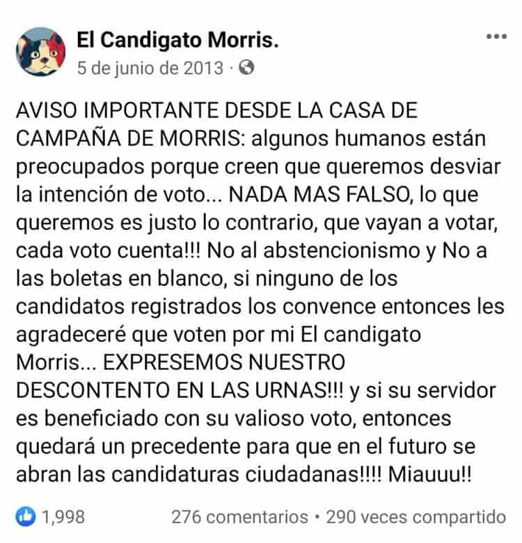 No es broma: Hace 10 años un gato fue candidato para el proceso electoral 2013 en Xalapa