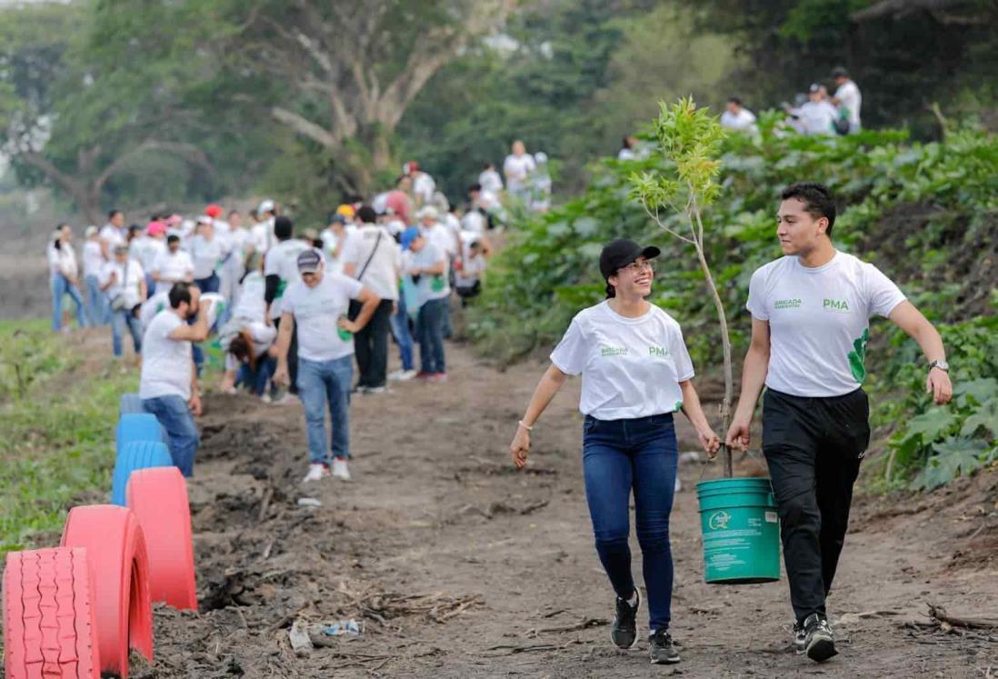 Limpian y reforestan las lagunas Las Conchas y Tarimoya, en Veracruz