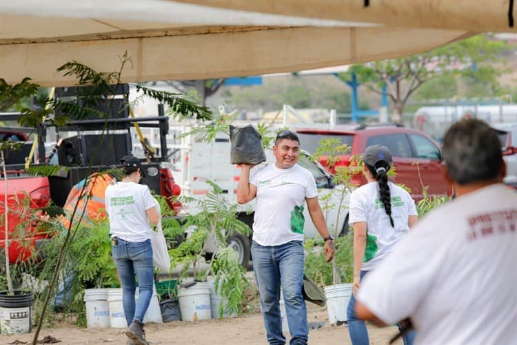 Limpian y reforestan las lagunas Las Conchas y Tarimoya, en Veracruz