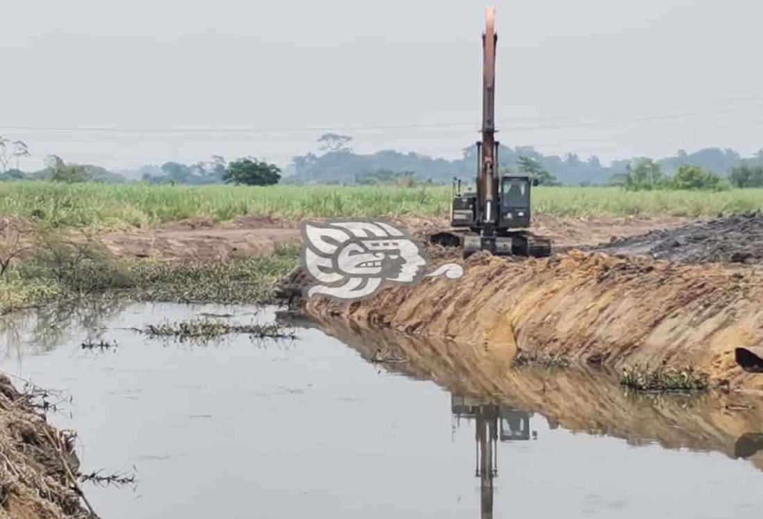 Alertan por aparición de serpientes venenosas en canales de Nanchital