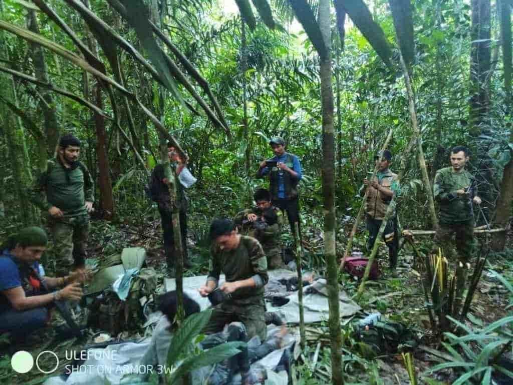 Aparecen niños extraviados en selva de Colombia; Wilson, pastor belga rescatista no regresó