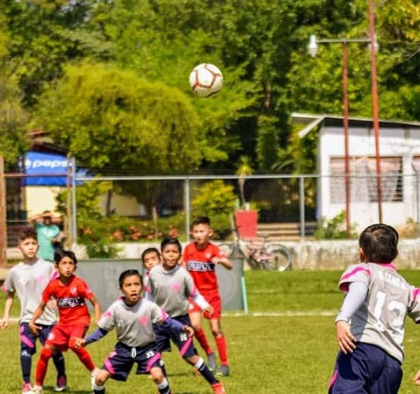 Tendrá fecha 21 grandes cotejos en liga infantil