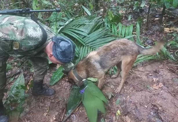 Aparecen niños extraviados en selva de Colombia; Wilson, pastor belga rescatista no regresó