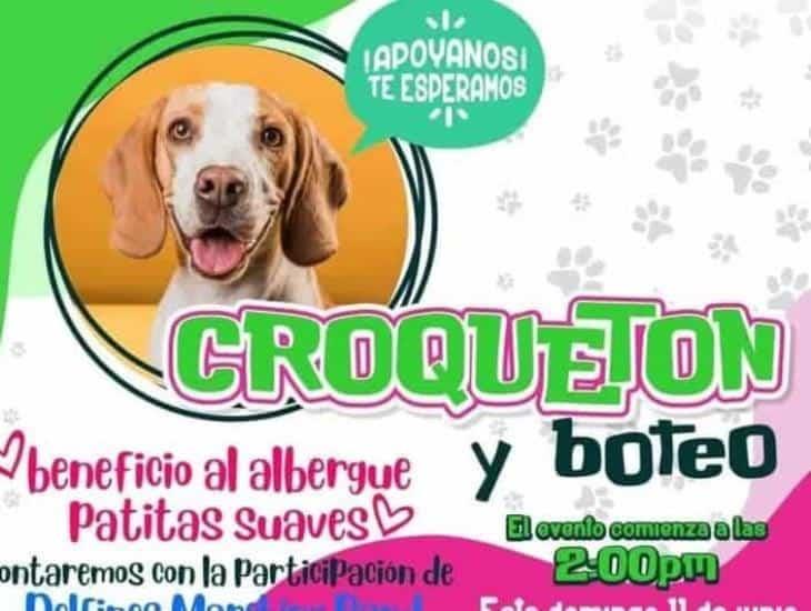 Realizarán este domingo croquetón en Xalapa