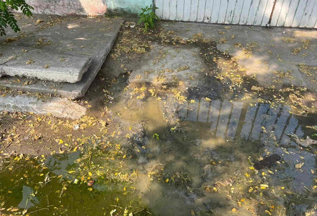 Olores fétidos que emanan de drenajes en Veracruz causa molestia a vecinos