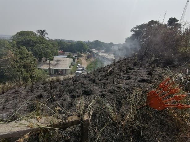 Arden pastizales en colonia Benito Juárez Sur