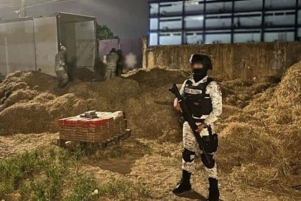 Guardia Nacional intercepta cargamento de cocaína en sur de Veracruz, oculto entre paja