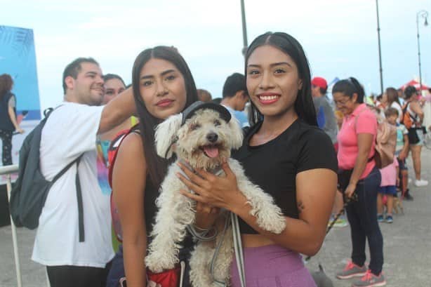 Centros de cuidado animal efectúan primera Carrera Canófila