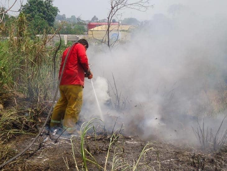 Alertan en Las Choapas por aumento de incendios forestales debido al calor