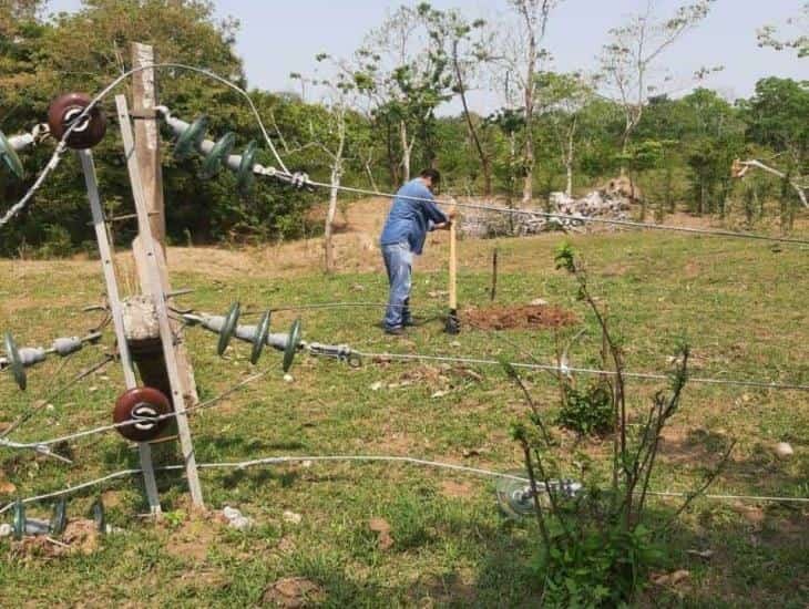 Habitantes continúan con crisis de agua en Sayula de Alemán