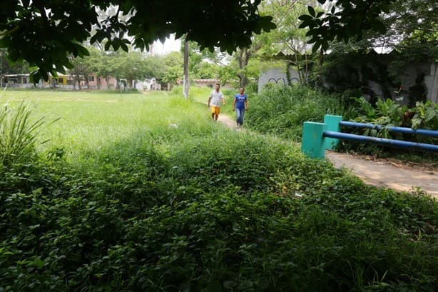 Parque La Noria en malas condiciones; piden darle mantenimiento (+Video)