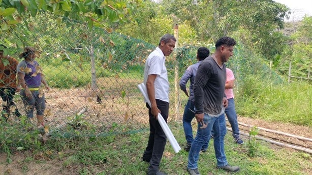 Director de Patrimonio Municipal de Nanchital derriba cercos con los que colonos protegen sus plantíos (+Video)