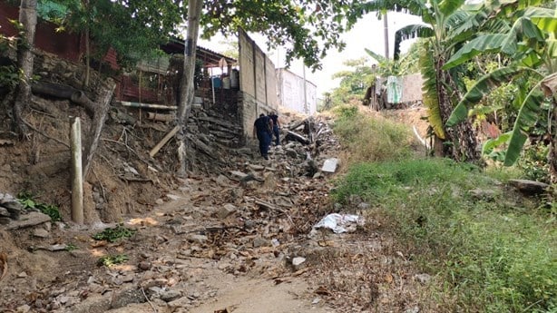 Director de Patrimonio Municipal de Nanchital derriba cercos con los que colonos protegen sus plantíos (+Video)