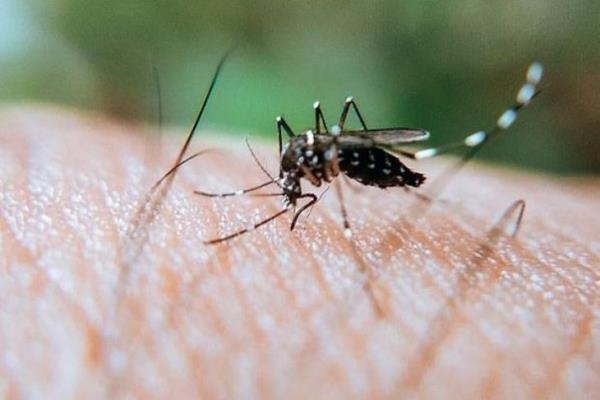Veracruz en tercer lugar nacional en casos de dengue