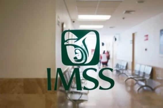 Se afiliarán 3 mil 500 trabajadoras domésticas al IMSS en Veracruz