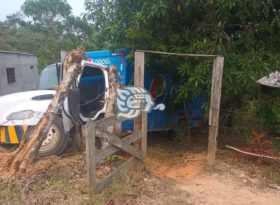 Camión de empresa refresquera termina dentro de un predio tras salirse de la carretera