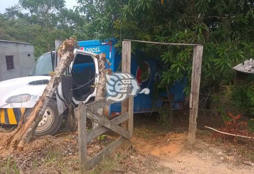 Camión de refresquera se despista en Las Choapas