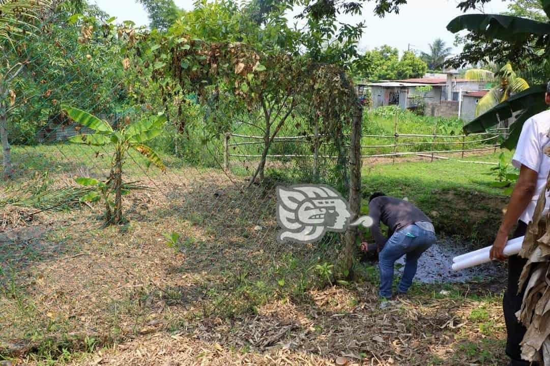 Pese a notificaciones, vecina se negaba a desalojar; recuperan áreas verdes en Nanchital