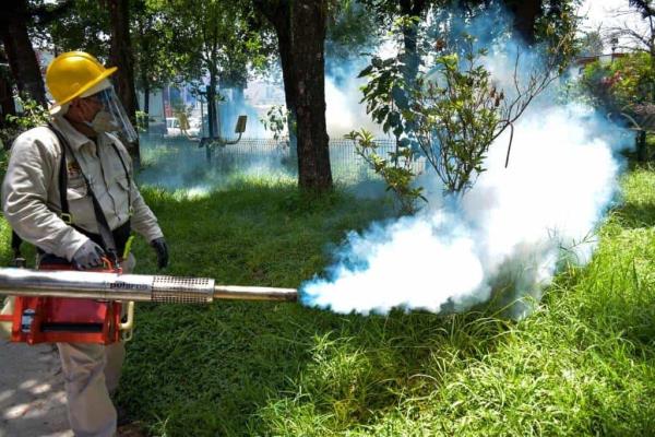 Veracruz estará bajo acecho del dengue todo el año; ya es tercer lugar nacional