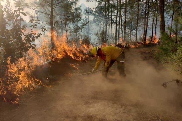 Incendios también afectan al sur de Veracruz