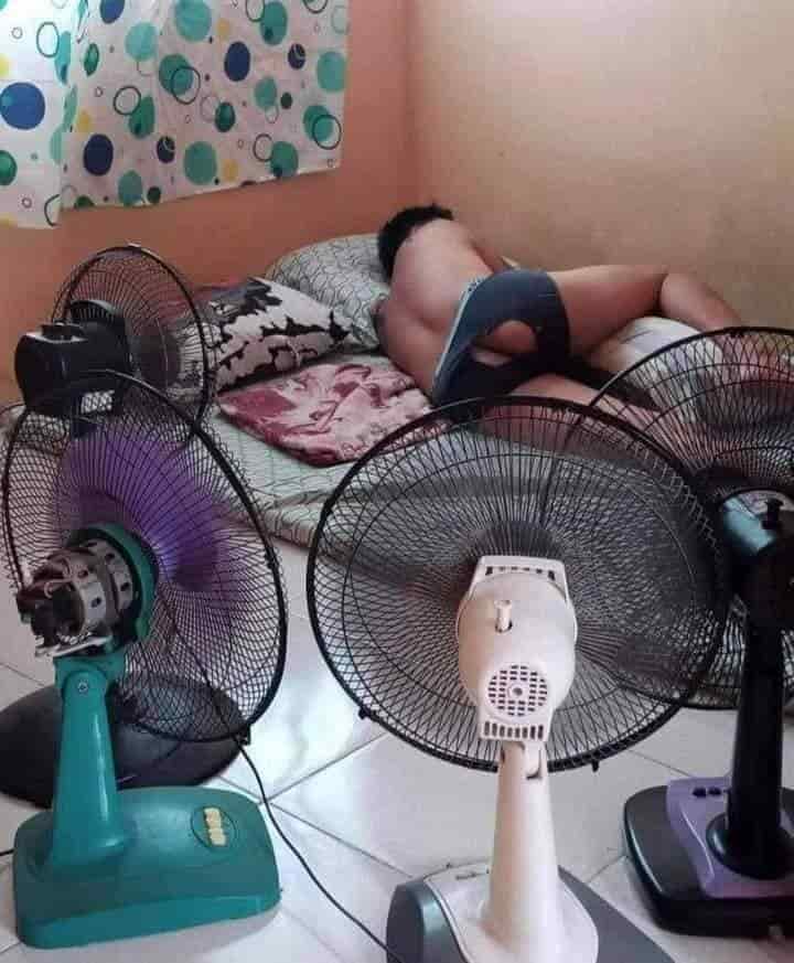 Ola de calor y de memes en Veracruz están que arden