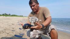 Aparece hidrocarburo ‘cristalizado’ en playa de la congregación de Tonalá