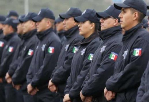 Sin patear el pesebre