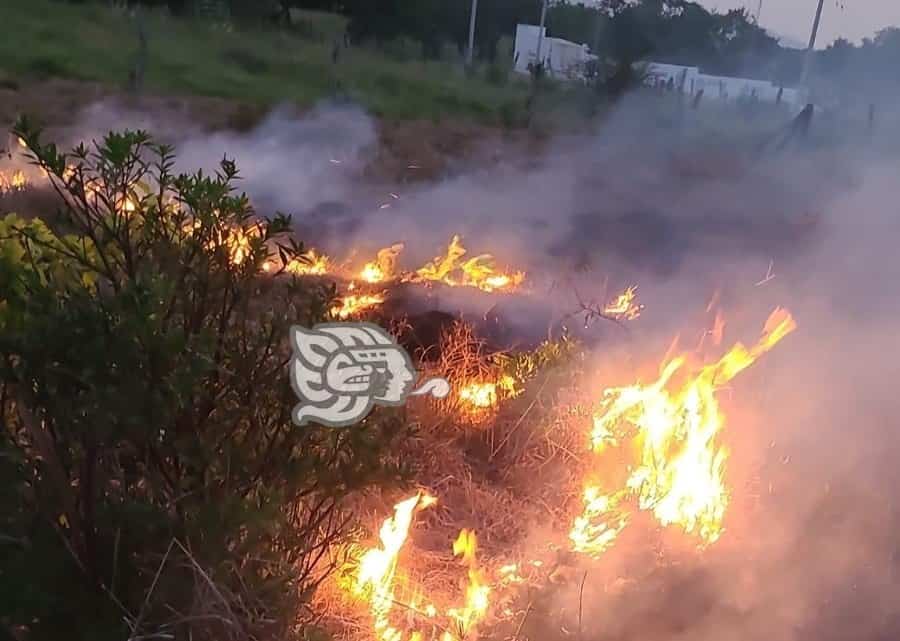 Incendio de pastizal genera alarma en Vega de Alatorre