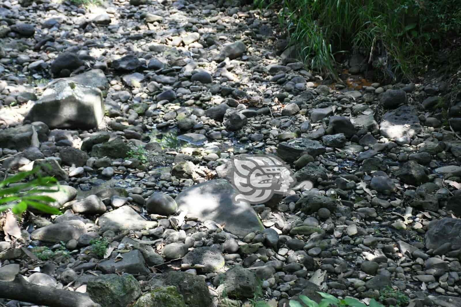 Banderilla se queda sin agua, alertan autoridades