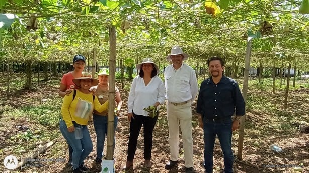 Diseña UV estrategias para productores de chayote en Ixtaczoquitlán