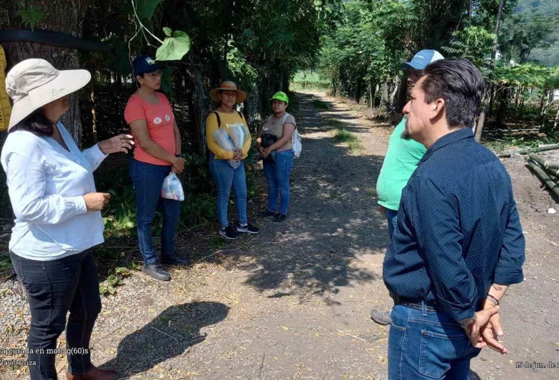 Diseña UV estrategias para productores de chayote en Ixtaczoquitlán