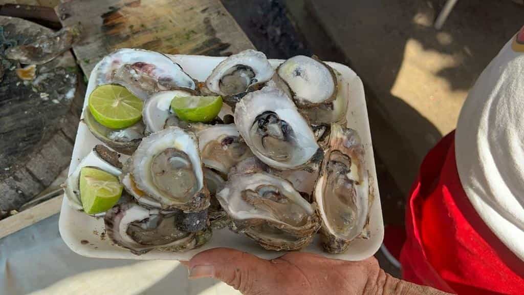 ¿Por qué no se deben comer mariscos en los meses sin R?