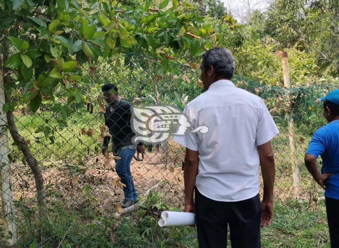 Invasores de áreas verdes en Nanchital podrían ser denunciados