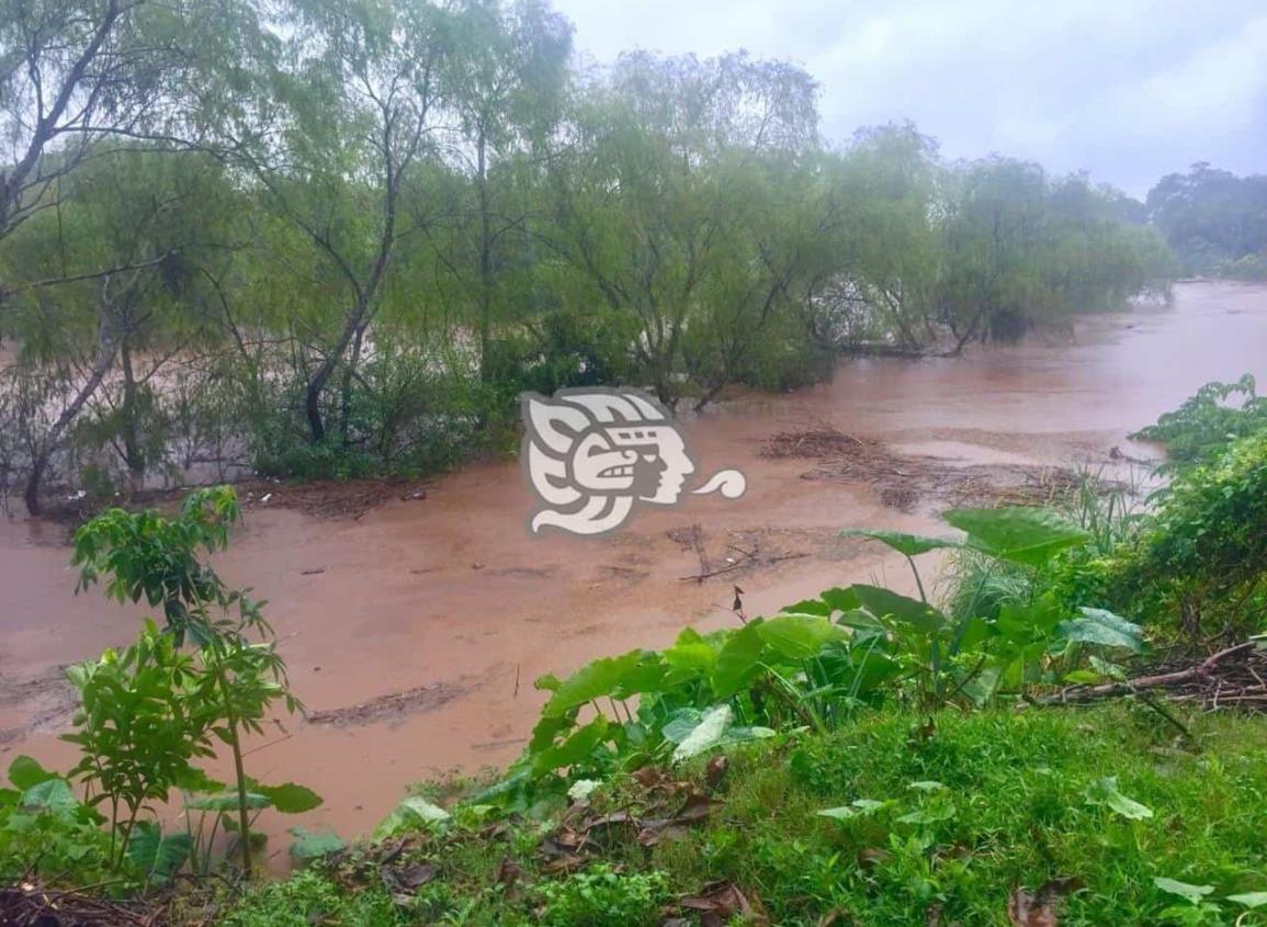 Temor invade a pobladores de Meapan de Caldenas por aparición de enorme víbora