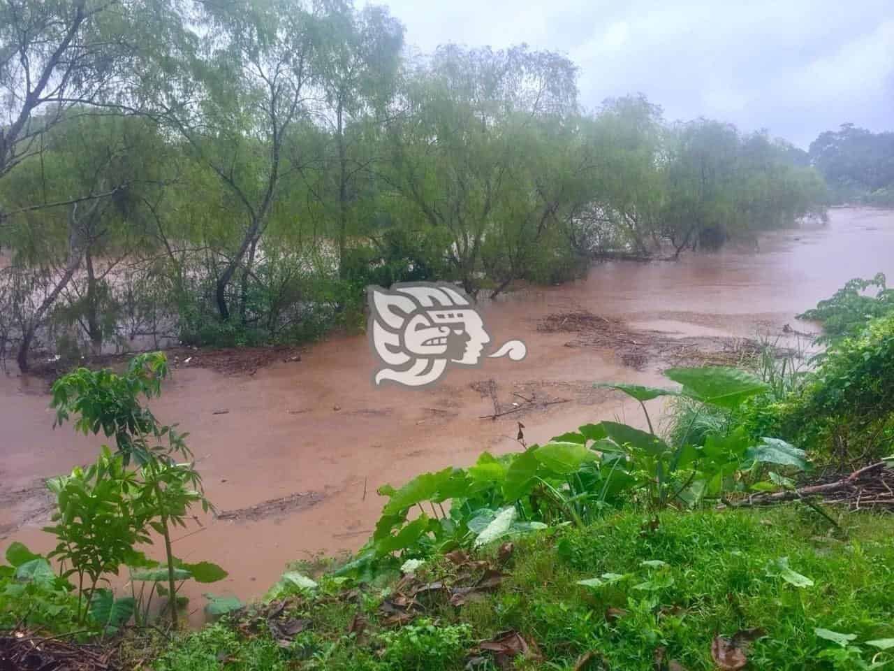 ¡Alerta! Enorme víbora aterra a vecinos de Hueyapan