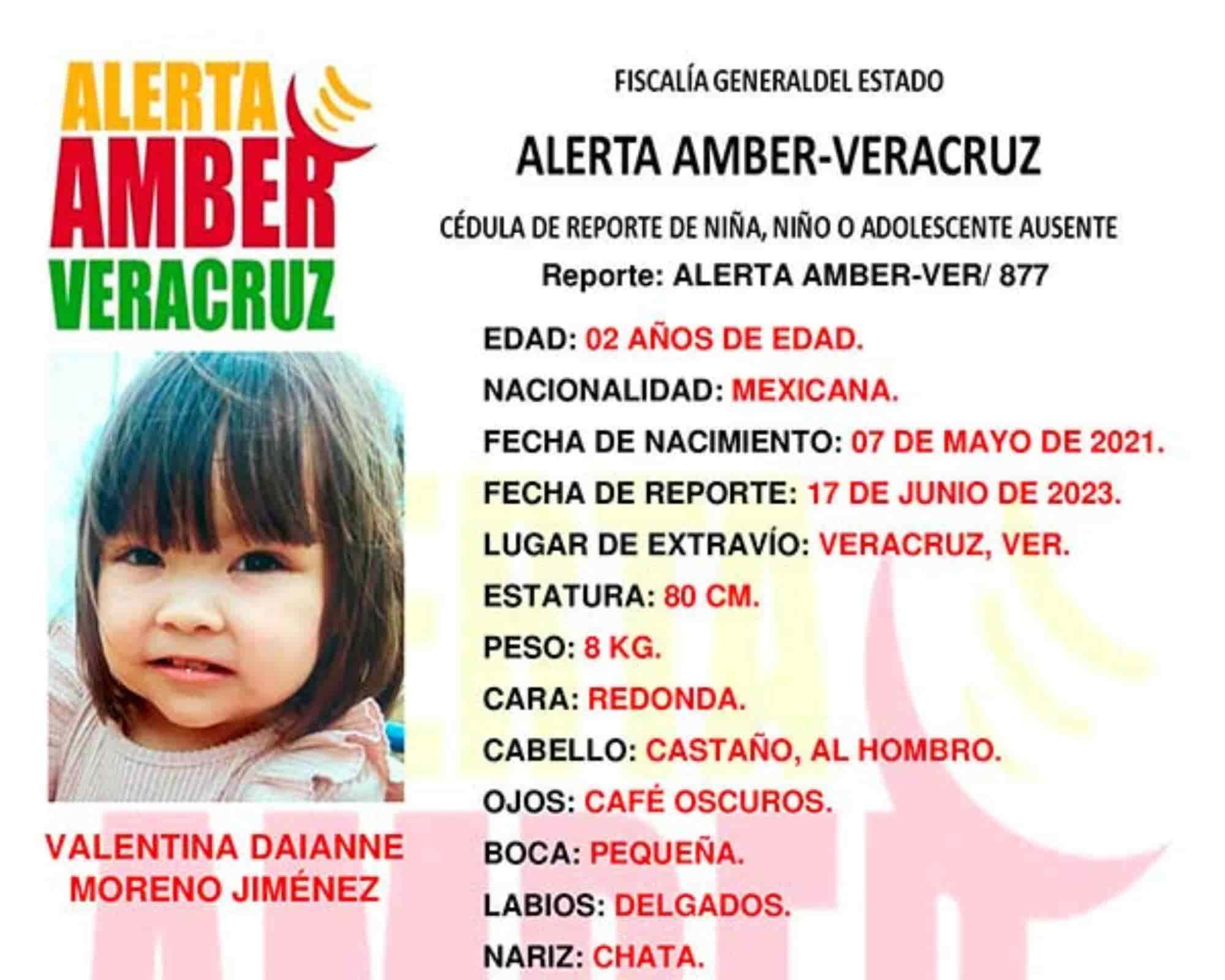 Desaparece niña de 2 años en Veracruz; emiten Alerta Amber para localizarla