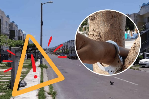 Vándalos esposan a estudiante a un árbol en Veracruz; policía le niega ayuda