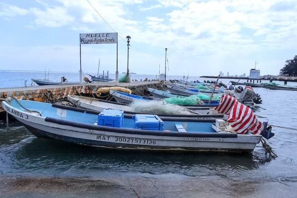 Ola de calor impide a pescadores capturar sardina en Veracruz