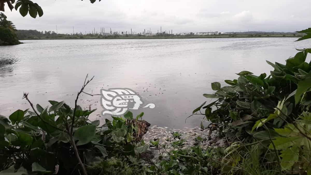 Desaparecen lagunas por la contaminación y urbanización