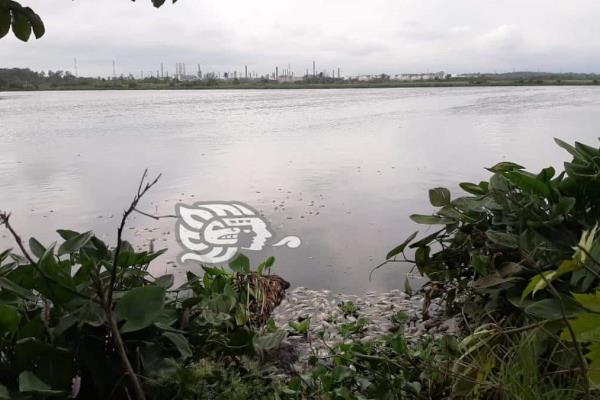Allende se queda sin lagunas por la contaminación y urbanización 
