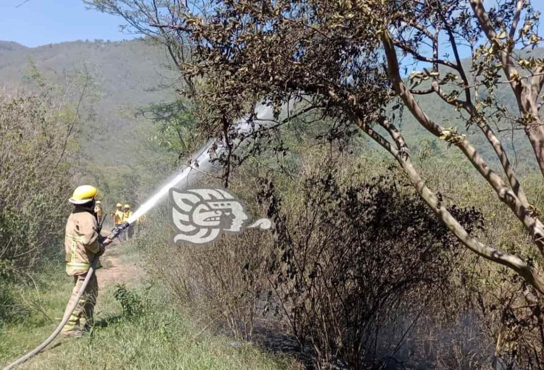 Alarma por incendio de pastizales en la zona centro de Veracruz